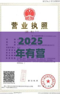 2025年有营业执照就能下的网贷5000，整理5个最新哪些贷款平台上征信