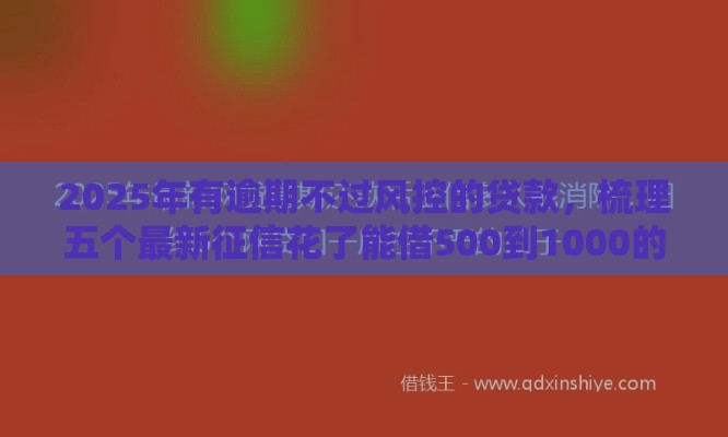 2025年有逾期不过风控的贷款，梳理五个最新征信花了能借500到1000的口子