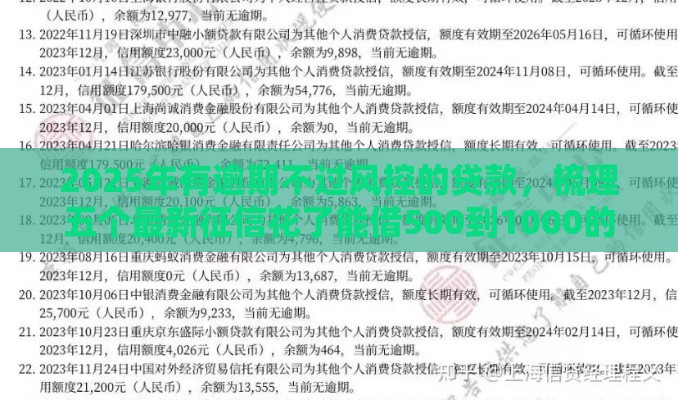 2025年有逾期不过风控的贷款，梳理五个最新征信花了能借500到1000的口子