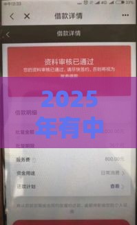 2025年有中信信用卡的能借钱吗，推荐5个最新黑户下款口子