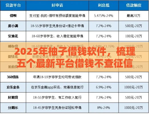 2025年柚子借钱软件，梳理五个最新平台借钱不查征信