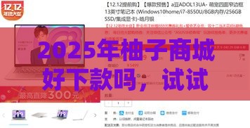 2025年柚子商城好下款吗，试试这5个最新好借的贷款平台
