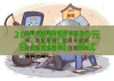 2025年逾期1000元会上征信吗，试试这五个最新可以借钱的平台