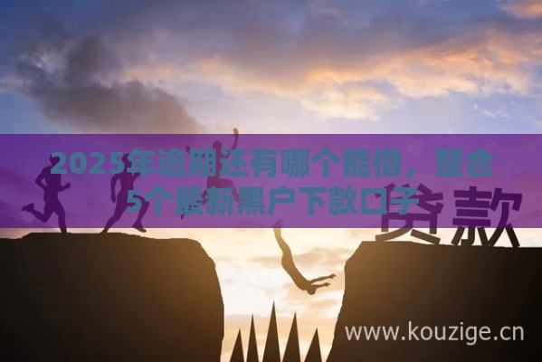 2025年逾期还有哪个能借，整合5个最新黑户下款口子