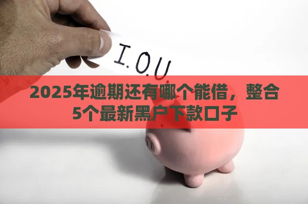 2025年逾期还有哪个能借，整合5个最新黑户下款口子