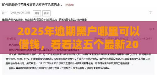 2025年逾期黑户哪里可以借钱，看看这五个最新2025年12月网贷平台