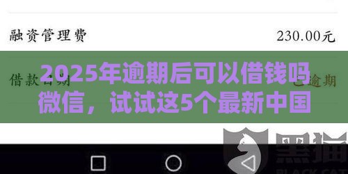 2025年逾期后可以借钱吗微信，试试这5个最新中国贷款平台