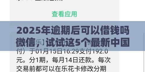 2025年逾期后可以借钱吗微信，试试这5个最新中国贷款平台