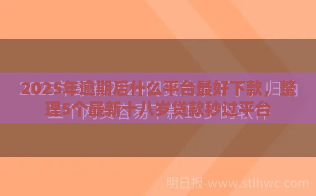 2025年逾期后什么平台最好下款，整理5个最新十八岁贷款秒过平台