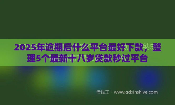 2025年逾期后什么平台最好下款，整理5个最新十八岁贷款秒过平台