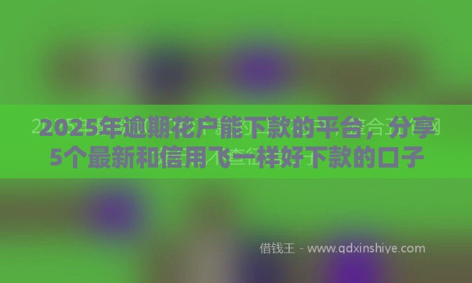 2025年逾期花户能下款的平台，分享5个最新和信用飞一样好下款的口子