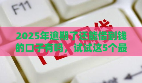 2025年逾期了还能借到钱的口子有吗，试试这5个最新不看征信贷款平台