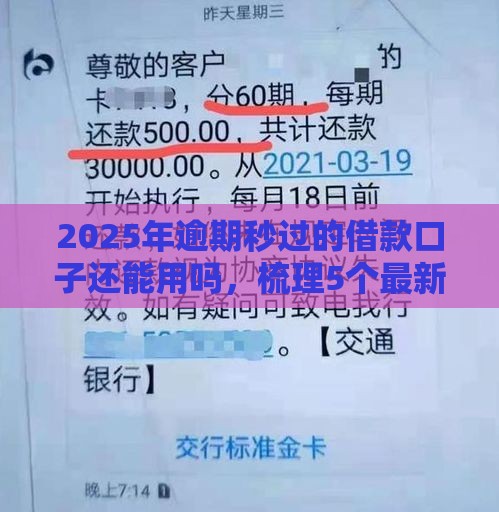 2025年逾期秒过的借款口子还能用吗，梳理5个最新不看征信的借钱正规平台