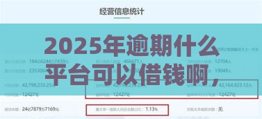 2025年逾期什么平台可以借钱啊，试试这五个最新不需要征信的借款平台