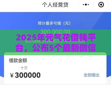 2025年元气花借钱平台，公布5个最新微信里可以借钱的平台