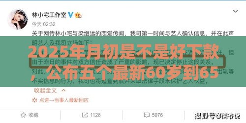 2025年月初是不是好下款，公布五个最新60岁到65岁借款平台