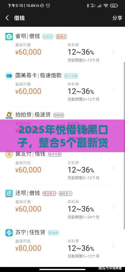 2025年悦借钱黑口子，整合5个最新贷款平台代理