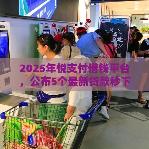 2025年悦支付借钱平台，公布5个最新贷款秒下的口子