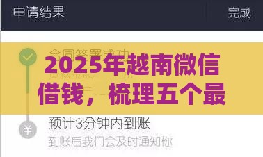 2025年越南微信借钱，梳理五个最新信誉差秒通过借款平台