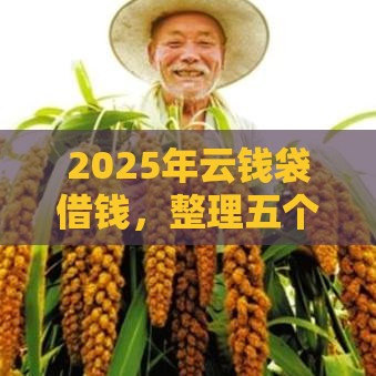 2025年云钱袋借钱，整理五个最新贷款7天的平台