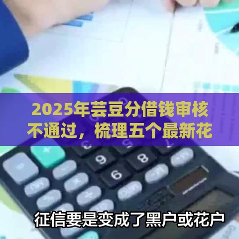 2025年芸豆分借钱审核不通过，梳理五个最新花户和黑户也能放款的平台