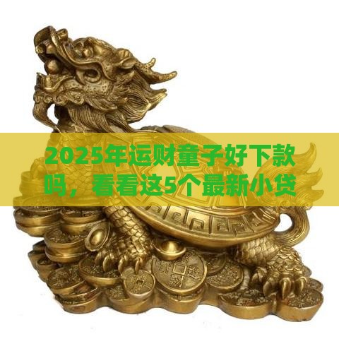 2025年运财童子好下款吗，看看这5个最新小贷平台好借款