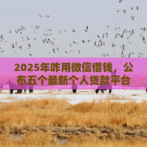 2025年咋用微信借钱，公布五个最新个人贷款平台