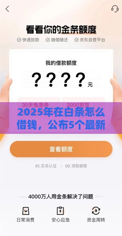2025年在白条怎么借钱，公布5个最新正规官方贷款平台