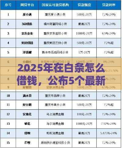 2025年在白条怎么借钱，公布5个最新正规官方贷款平台