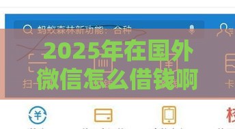 2025年在国外微信怎么借钱啊，整合五个最新黑魔盒贷款口子入口2025