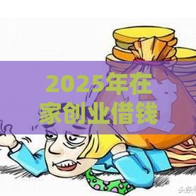 2025年在家创业借钱买车，整合五个最新2025不查征信大数据百分百下款的平台
