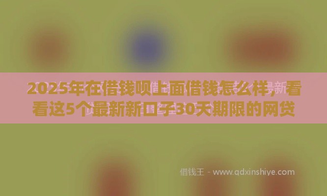 2025年在借钱呗上面借钱怎么样，看看这5个最新新口子30天期限的网贷