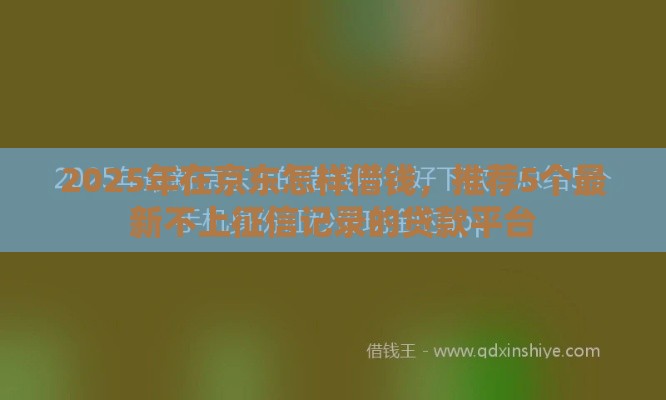 2025年在京东怎样借钱，推荐5个最新不上征信记录的贷款平台