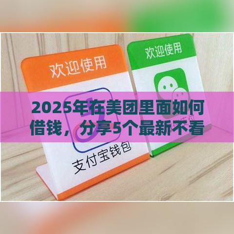 2025年在美团里面如何借钱，分享5个最新不看征信分期时间长的贷款平台