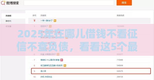 2025年在哪儿借钱不看征信不查负债，看看这5个最新大学生能贷款的平台