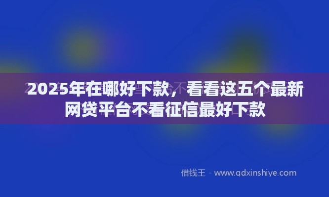 2025年在哪好下款，看看这五个最新网贷平台不看征信最好下款