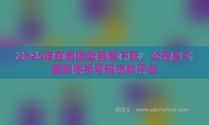 2025年在哪借款容易下款，公布五个最新手机号码贷款平台