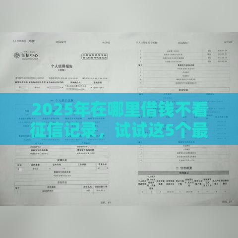 2025年在哪里借钱不看征信记录，试试这5个最新网络小额贷款平台