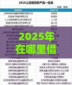 2025年在哪里借钱不看征信呢，推荐五个最新小型贷款平台