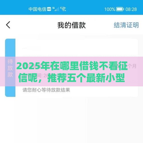 2025年在哪里借钱不看征信呢，推荐五个最新小型贷款平台