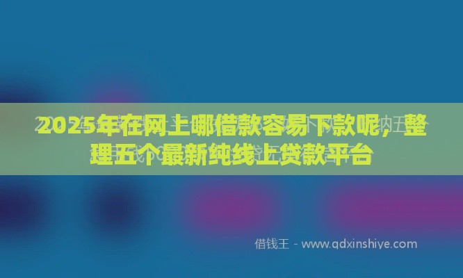 2025年在网上哪借款容易下款呢，整理五个最新纯线上贷款平台