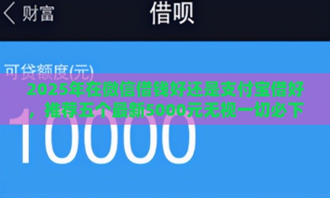 2025年在微信借钱好还是支付宝借好，推荐五个最新5000元无视一切必下款的口子