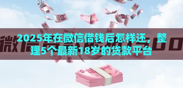 2025年在微信借钱后怎样还，整理5个最新18岁的贷款平台