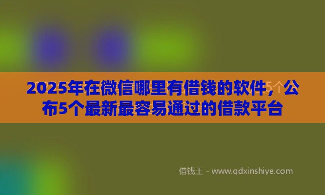 2025年在微信哪里有借钱的软件，公布5个最新最容易通过的借款平台