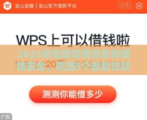 2025年在微信钱包怎样借钱安全，梳理5个最新贷款平台推广赚佣金