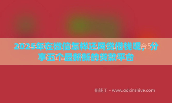 2025年在微信怎样还网贷借钱呢，分享五个最新新的贷款平台