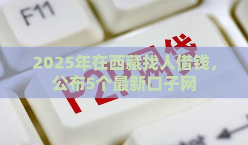 2025年在西藏找人借钱，公布5个最新口子网