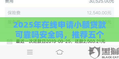 2025年在线申请小额贷款可靠吗安全吗，推荐五个最新黑户贷款平台好下款快