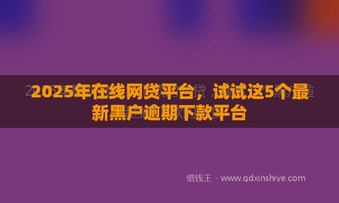 2025年在线网贷平台，试试这5个最新黑户逾期下款平台