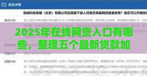 2025年在线网贷入口有哪些，整理五个最新贷款加盟平台